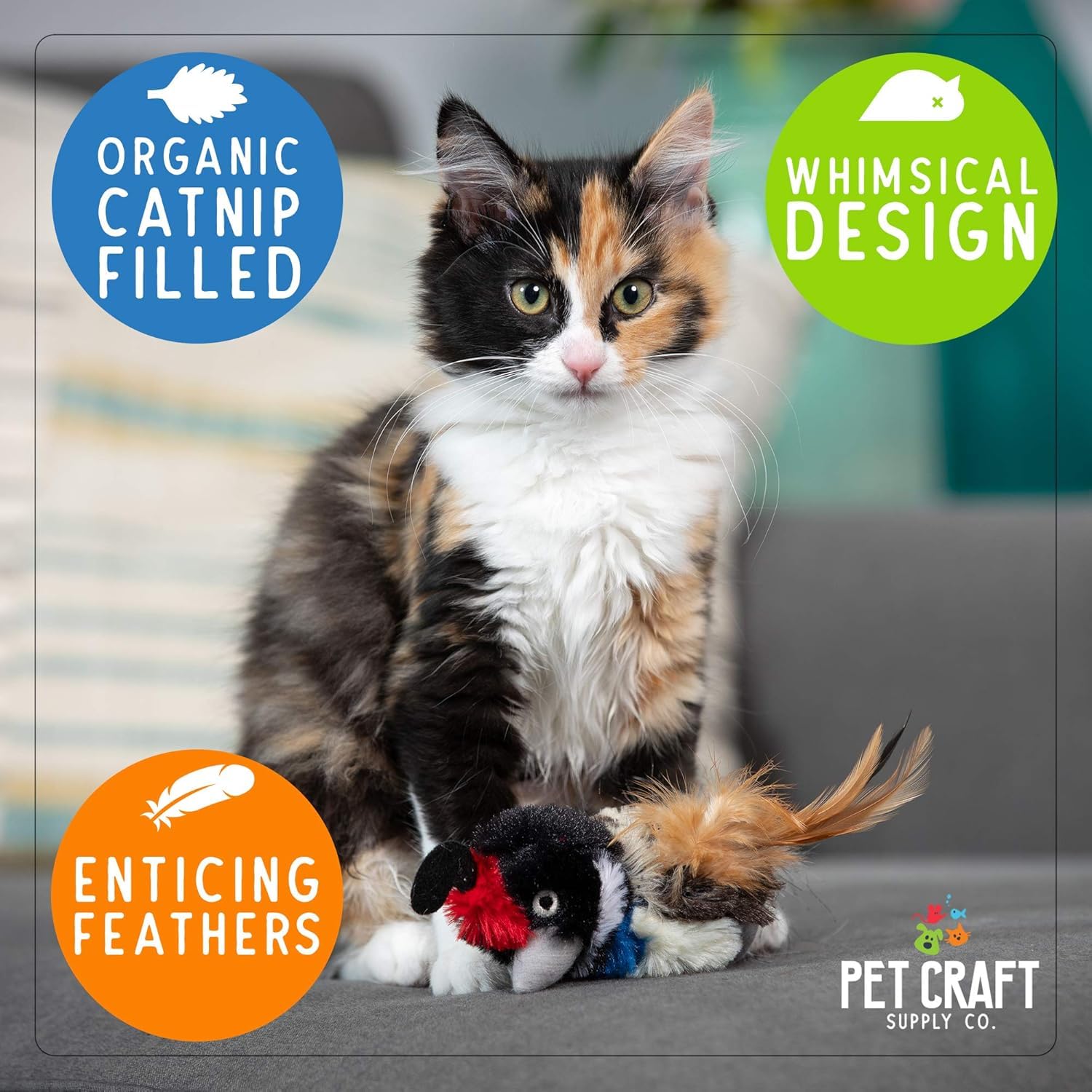 Pet Craft Supply Co. Batty Bird & Quirky Quirky Funny Cuddling Chasing Irresistible Estimulante Suave Peluche Alivio del Aburrimiento Interactivo Relleno de Catnip Juguete para Gato con Plumas