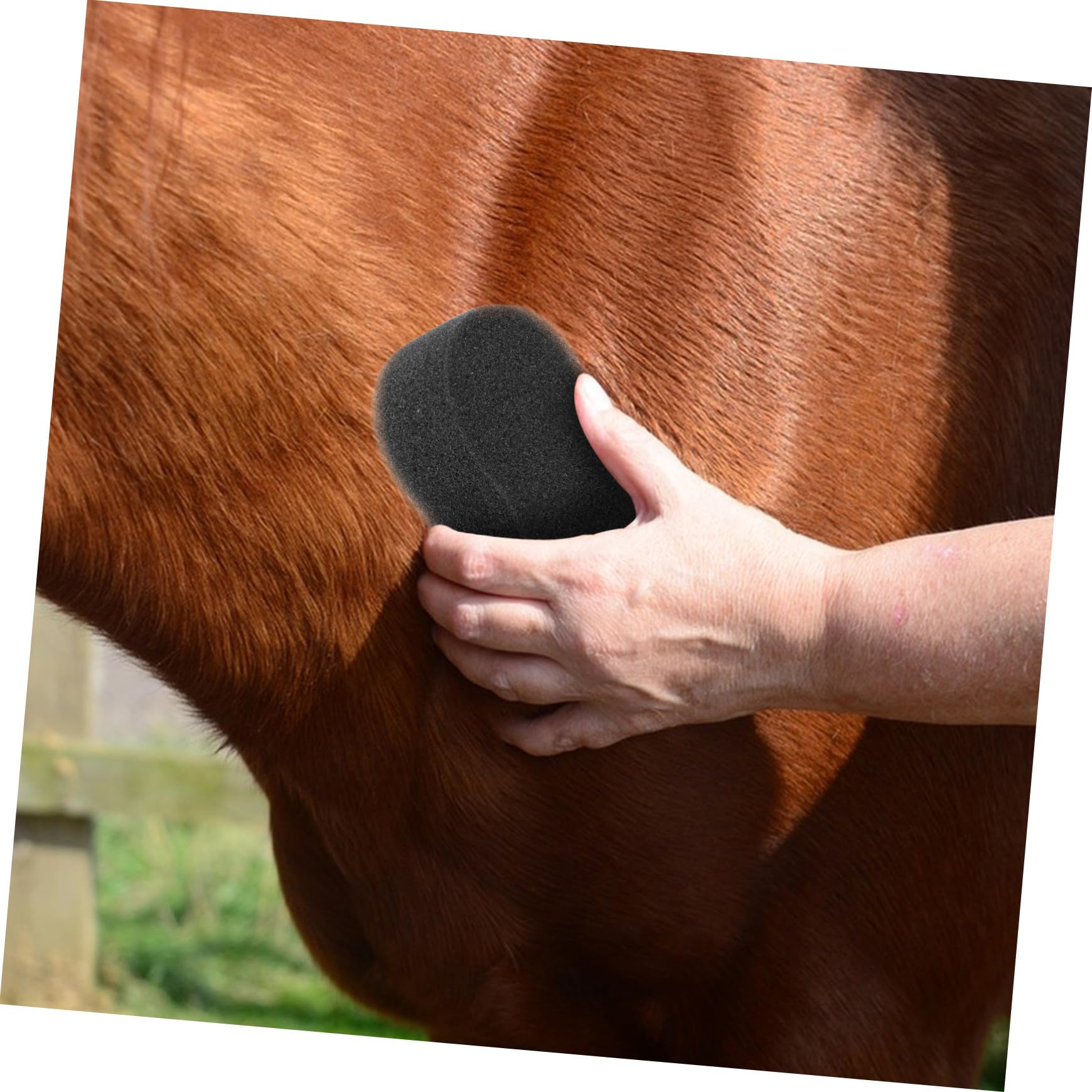 Herramientas para Baño y Cuidado de Caballos 5 Esponjas Portátiles para Limpieza de Pelo y Eliminación de Suciedad