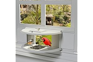 Window Insert Bird Feeder: Connect Nature with Your Home or Office