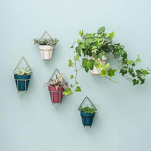 Miniatura 4 de Yishang Macetas de terracota blanca de 2.5 pulgadas con agujeros de drenaje, pequeña maceta de cerámica de arcilla pequeña, macetas de cactus