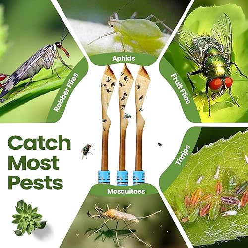 Miniatura 10 de Qualirey Paquete de 160 tiras adhesivas para moscas para interiores y exteriores, cinta de papel para colgar moscas, trampa para insectos voladores,