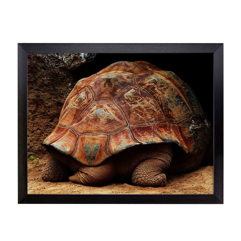 Lap Tray with Cushion | Turtle Tail | Padded Bean Bag Cushion | For Eating, Working, Crafting, Laptop | Portable Table Desk