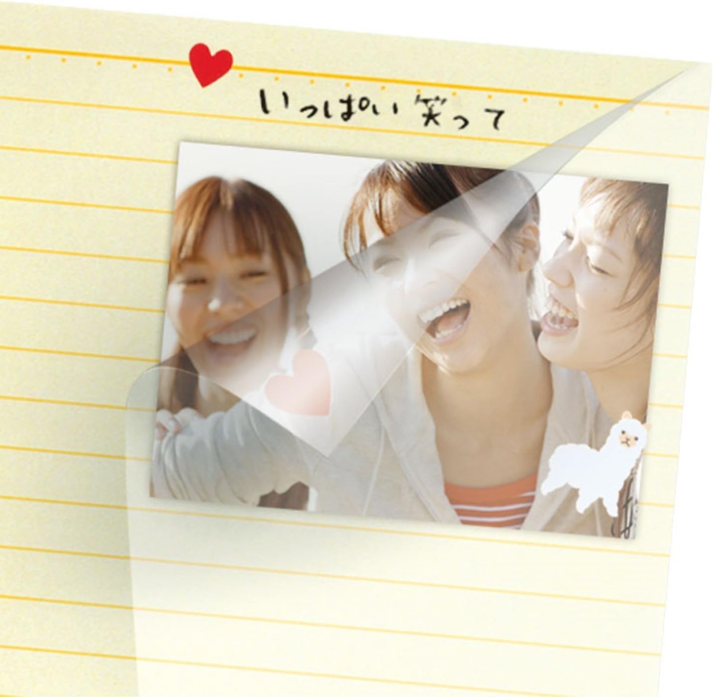 SEKISEI GPN-01 Album, Free, Photo Sharing, Album Notebook, A5 Size, 10 Pages, 1 to 10 Pages, Green