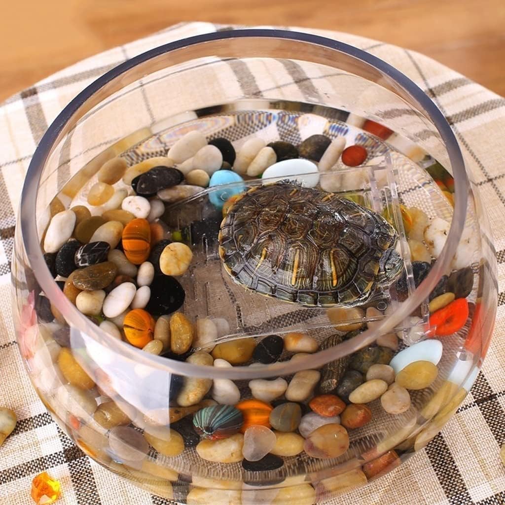 Fish Tank Creative Round Transparent Glass Fish Tank Aquarium Home Office Fish Tank Aquarium Living Room Desk Aquarium Decoration Glass Fish Tank(22cm)