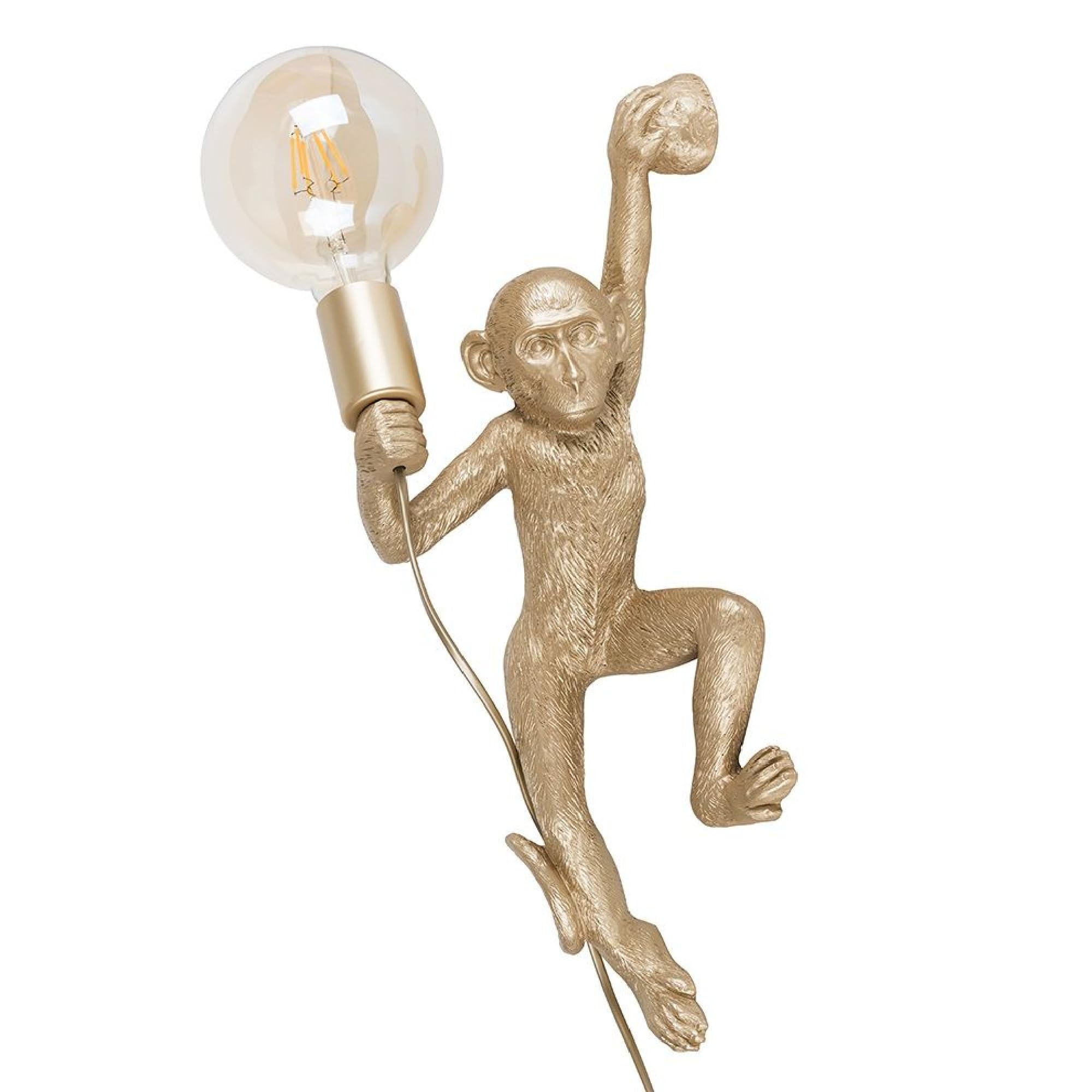 MiniSun | Modern Gold Monkey Holding Light Bulb Design Wall Light | Wall Lights & Home Improvements Essential | Mains Wired