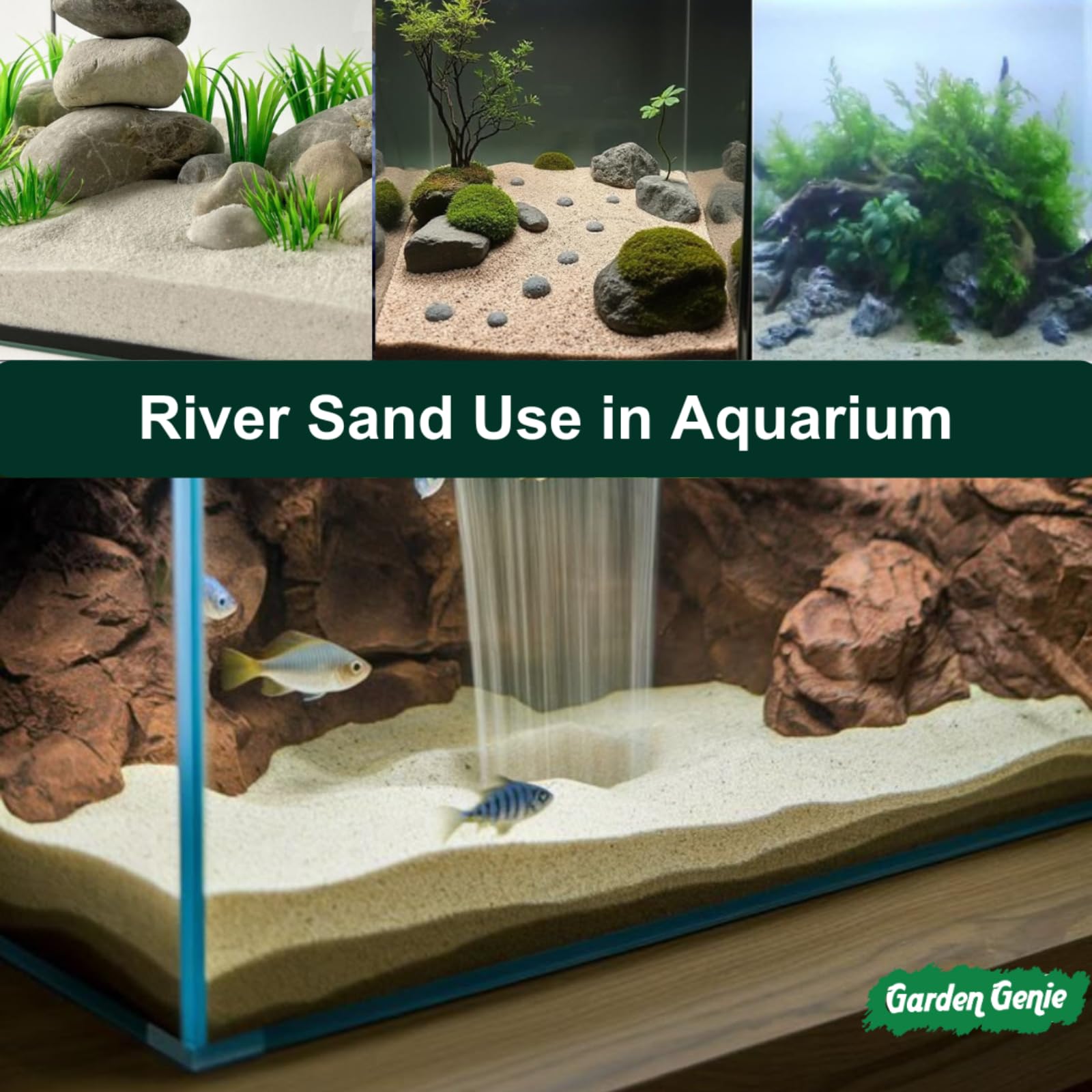 Garden Genie River Sand - For Plants, Aquariums & More -6