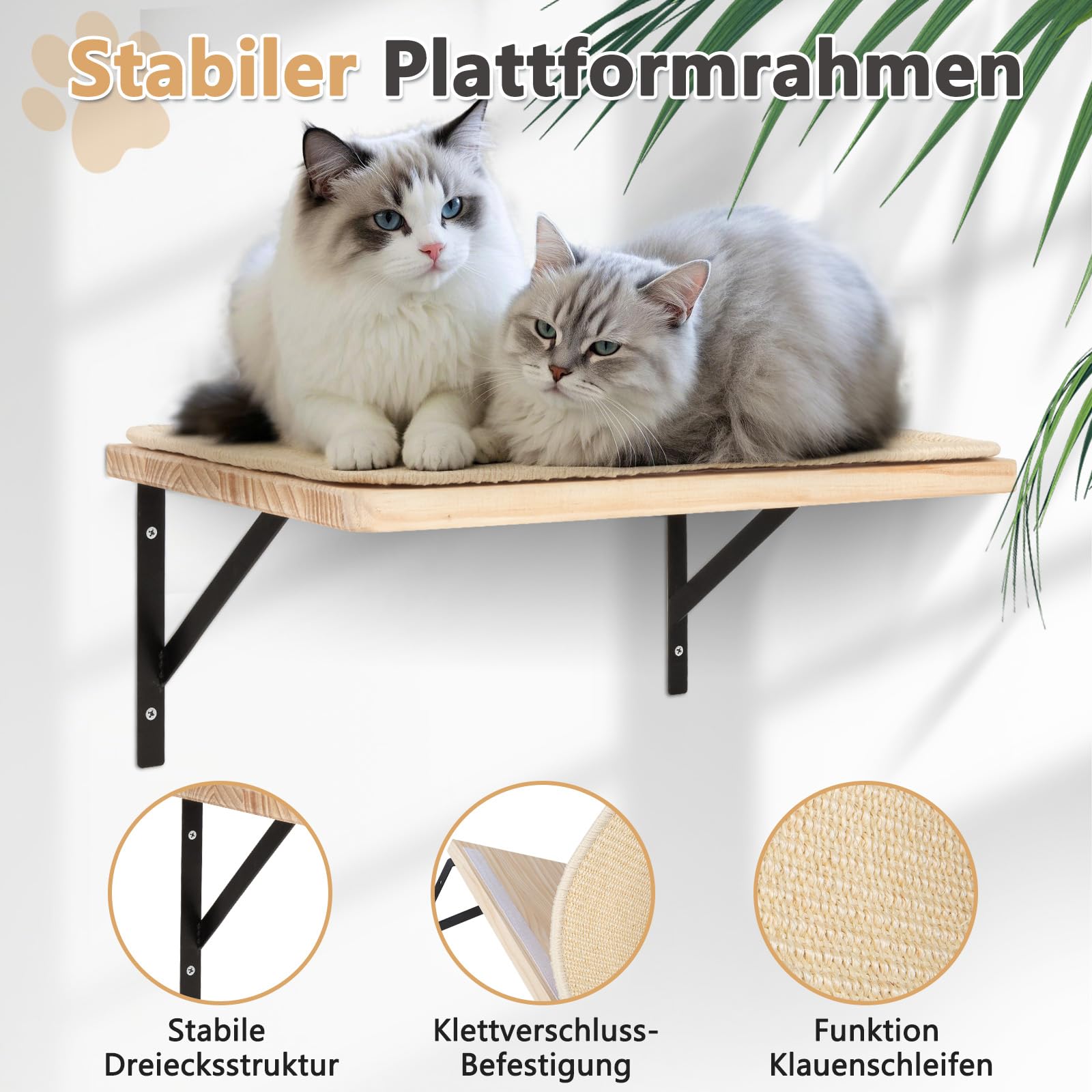 Katzen Kletterwand Set, 55cm x 46cm Katzenhängematte & Katzenwandregale & 2 Katzenleiter, 4er-Set Katzenwandparkour für Katzen, Katzen Wandelemente zum Schlafen und Ausruhen (XL, Beige)