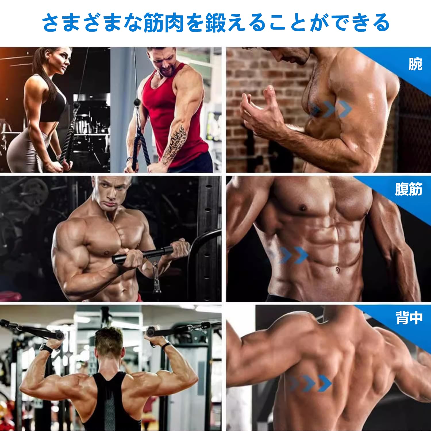 ohbien プーリーケーブルマシン 上腕三頭筋トレーナー LAT ラットプルダウン ケーブル トレーニング 機器 男女兼用 プロフェッショナル 筋肉強化 フィットネス器具 上腕三頭筋プルダウン 上腕二頭筋カール 背面 前腕部 肩 ジム ホームユース用