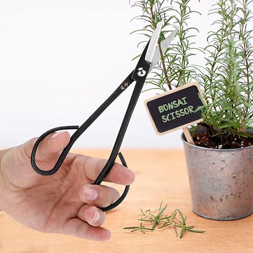 Miniatura 7 de Pilipane Tijeras de bonsái, tijeras de bonsái de acero inoxidable, herramientas de jardín de bonsái japonesas, tijeras de recorte de ramas de