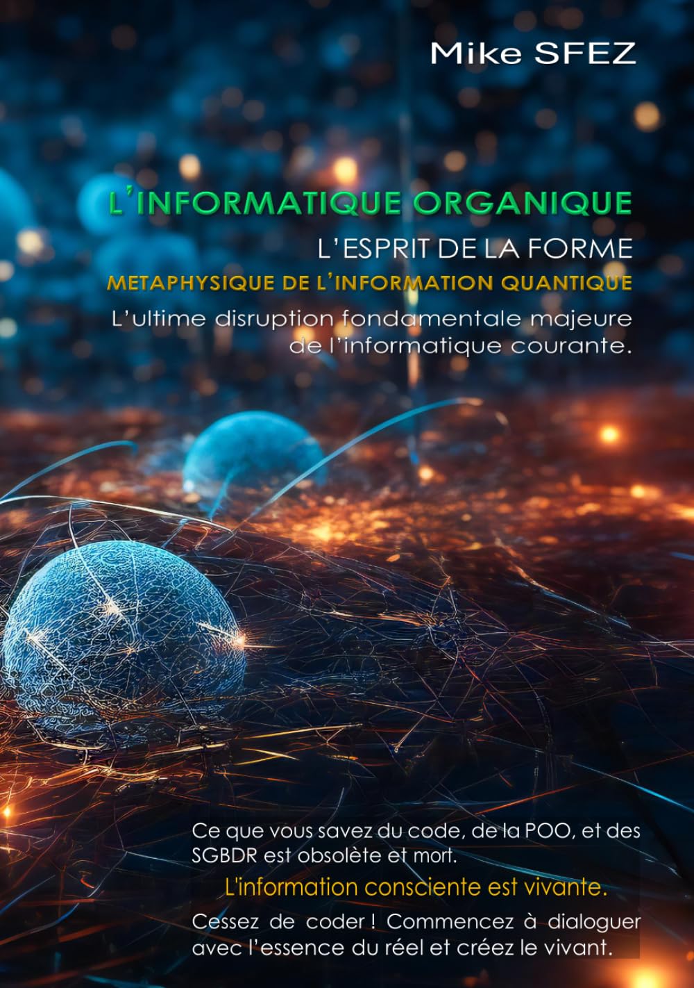 La Métaphysique de l'information quantique