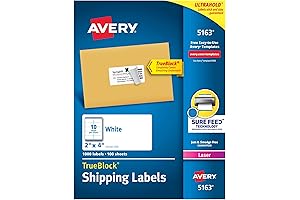 Avery Labels 10 Per Sheet, 2" x 4" White Shipping Labels (5163)