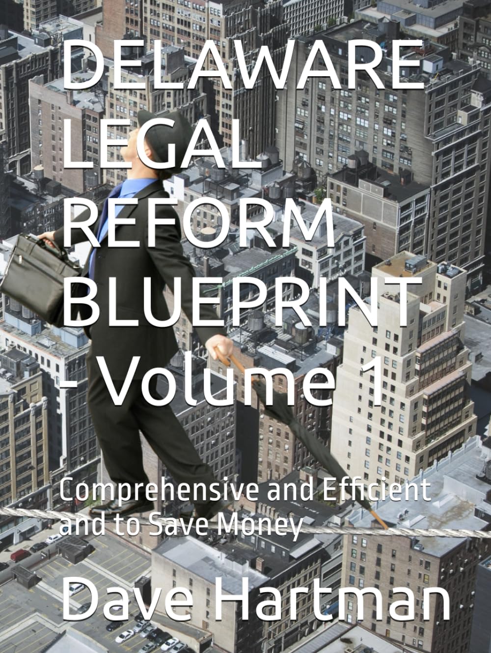 DELAWARE LEGAL REFORM BLUEPRINT - Volume 1: Comprehensive and Efficient and to Save Money (Delaware Legal Reform Series)