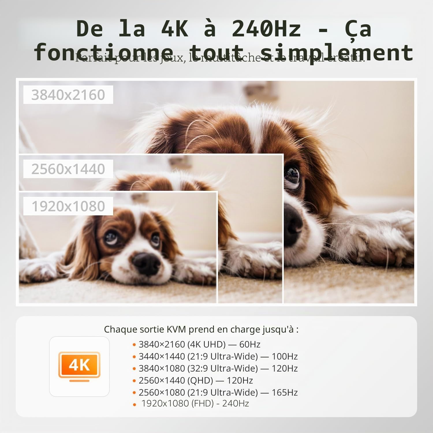 TESmart Commutateur KVM USB-C compatible Thunderbolt 4, 2 Moniteurs 2 PC 4K@60Hz, 1 Ordinateur Portable (USB-C avec charge 60W) et 1 PC de Bureau (HDMI 2.0 & DP 1.2), Gigabit Ethernet,Émulateur EDID
