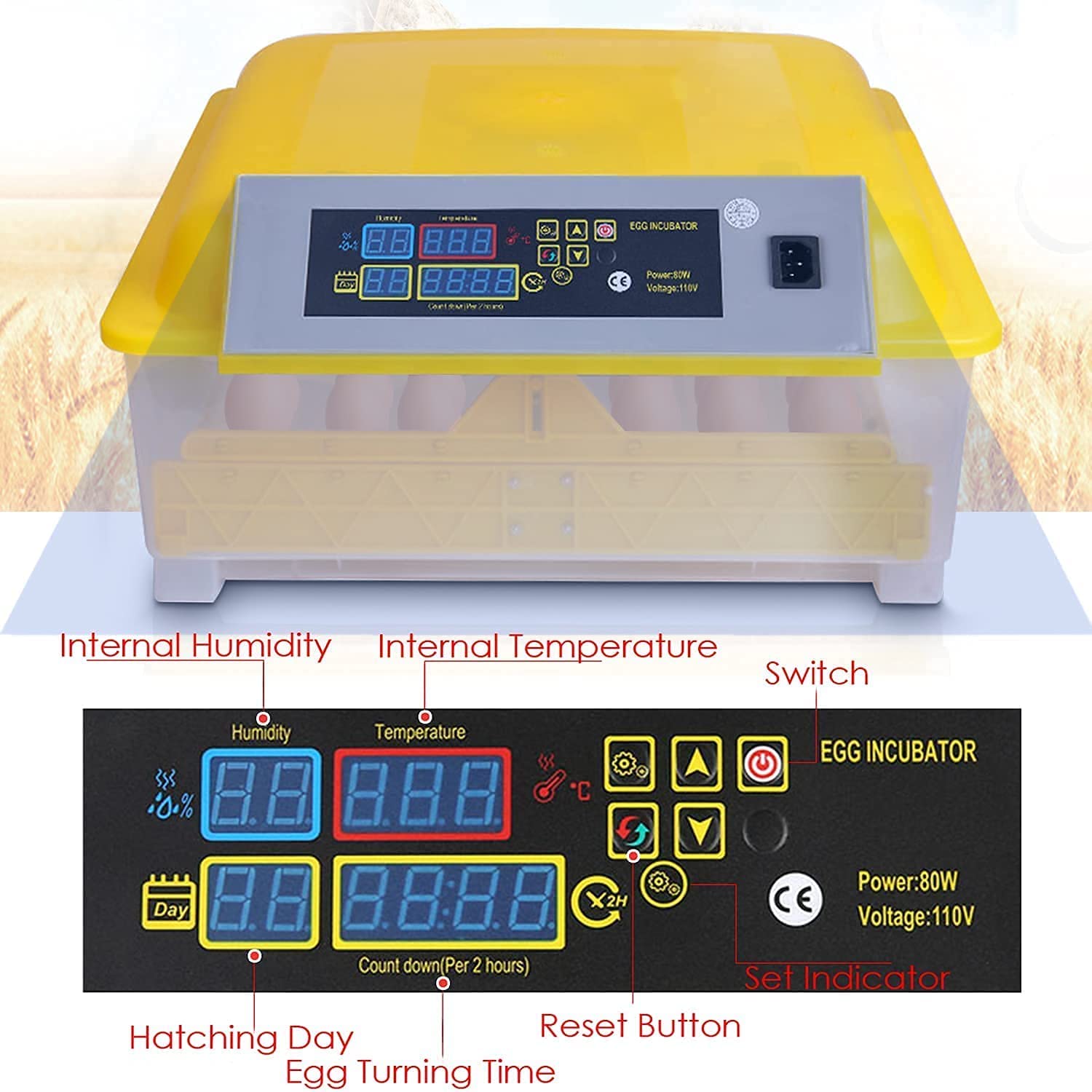 Incubato Brutapparat IN-48DDI - Vollautomatischer Inkubator Für 48 Eier Mit Schierlampe