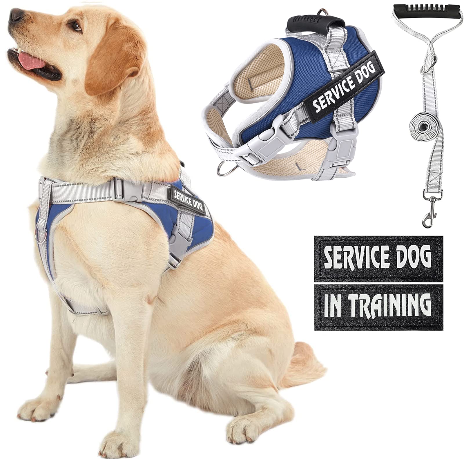 HUSDOW Service Dog Vest Harness, No Pull in Trainning Dog Harnesses with Handle & 5ft Dog Leash, Adjustable and Reflective No Chock for Small Medum