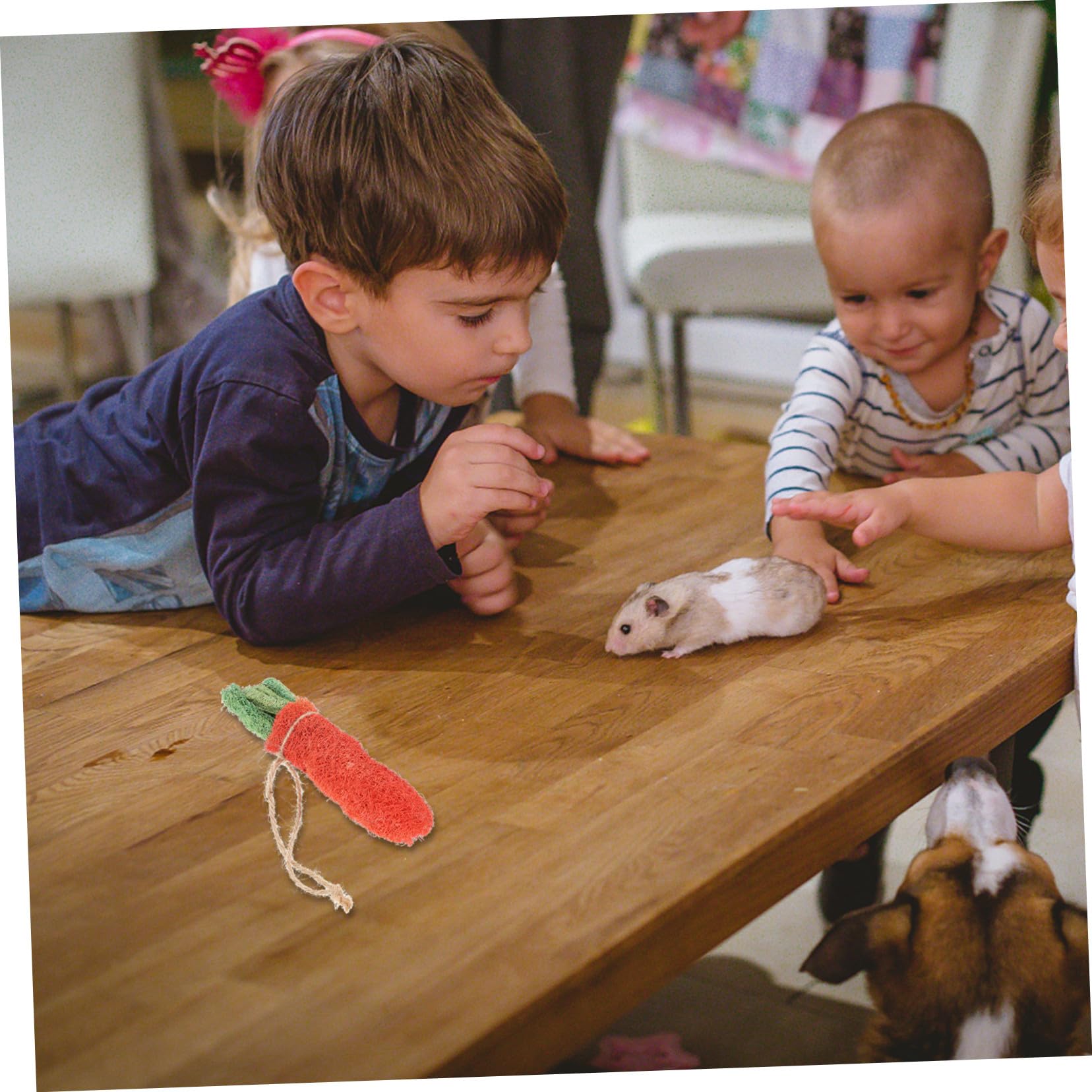 8 Pièces Mâcher pour Petits Animaux à Mâcher pour Hamster Accessoires Naturels pour Rongeurs Couleur Aléatoire