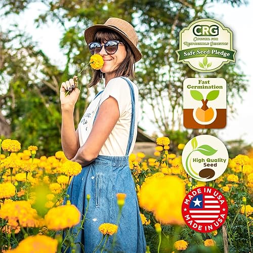 Miniatura 4 de Mezcla de semillas de flores silvestres fragantes, 1 oz, semillas aromáticas anuales y perennes de flores silvestres - Crea el jardín perfecto.