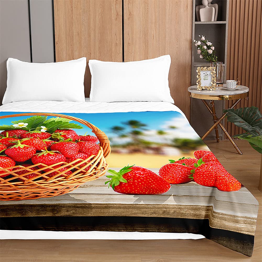 Dessus de lit matelassé microfibre pour literie 180x220cm saine