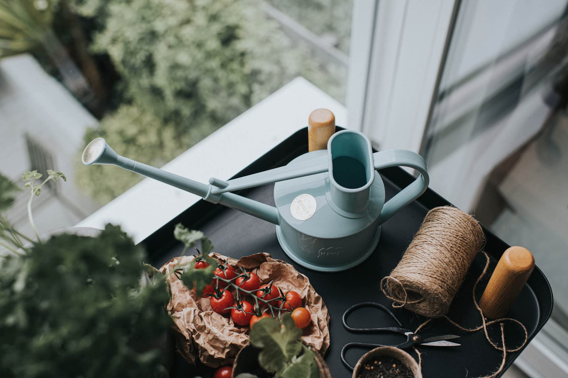 飼育用品 cool.r Amazon.co.jp: ホーズ(HAWS) じょうろ 室内用 0.7L ダックエッグ