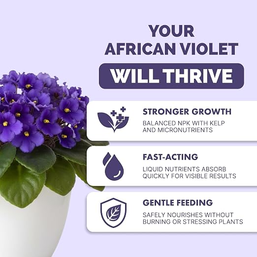 Fertilizante líquido para violetas africanas 8 oz miniatura 2