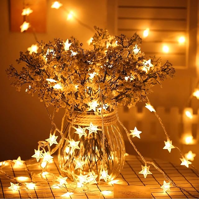 String Lights, 5M 40 LED Star Light Garden Outdoor Lights Battery Operated Lights, 2 Modes Fairy Lighting, Decoration for Indoor/Outdoor, Party, Festivals (Warm White)