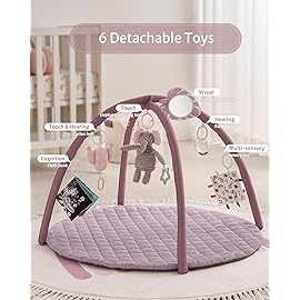 Blissful Diary Baby Play Gym Mat, Tummy Time Activity Mat with 6 Detachable Toys for Stage-Based Sensory & Motor Skill Development, Easy to Install & Clean, Baby Essentials Gift, Lavender Pink