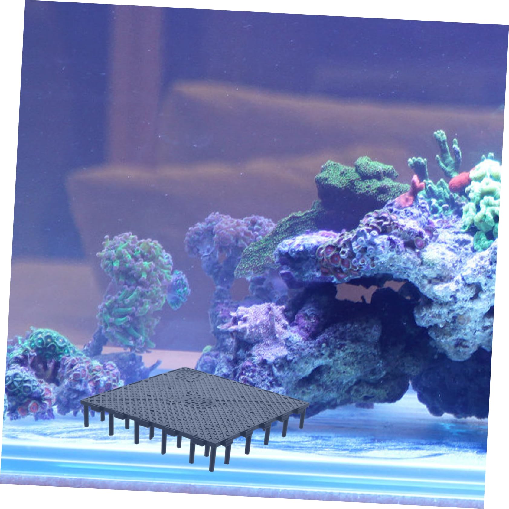 Mikikit 10 Stücke Aquarium Bodengitter: Platte PVC Fischtank Bottom Filter Aquarium Undergreavel Kunststoff Filterbrettteiler Aquarium Tank Bottom Black