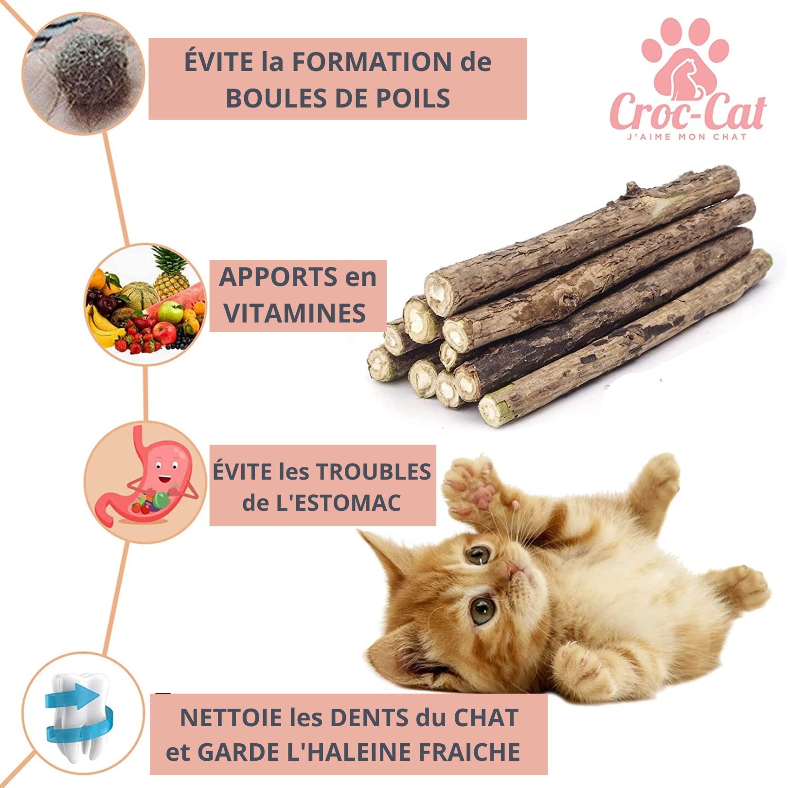 Croc-Cat® Baton Matatabi 10 pièces, Qualité Premium Super Puissant, Dentifrice Chat, Antistress Chat, friandises pour Chats, Bâtonnets Herbe à Chat,Chaton Accessoires Catnip