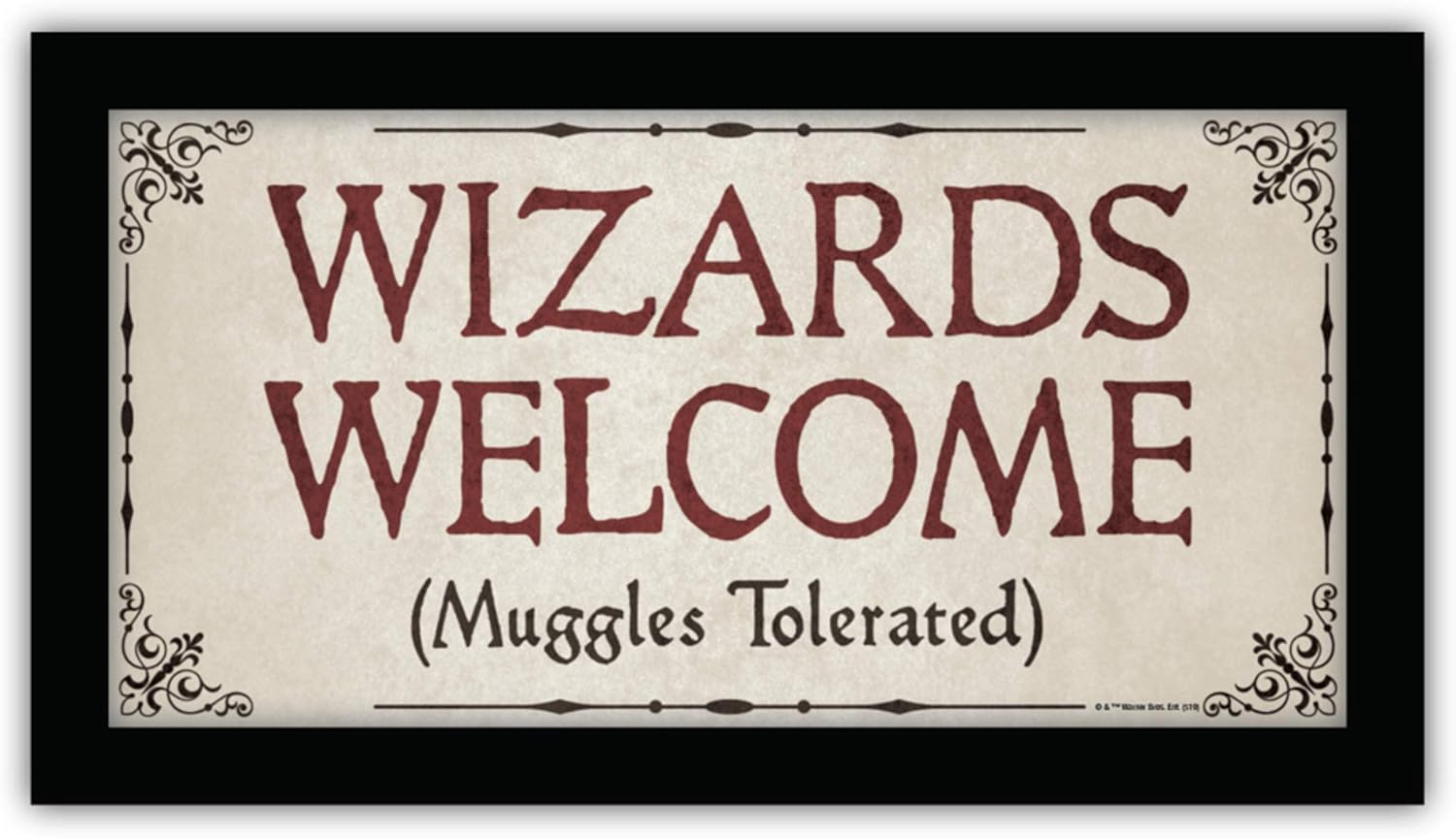 Silver Buffalo Harry Potter Wizards Welcome (Muggles Tolerated) Gel Coat Framed MDF Wall Decor Art Poster, 10 x 18 Inches
