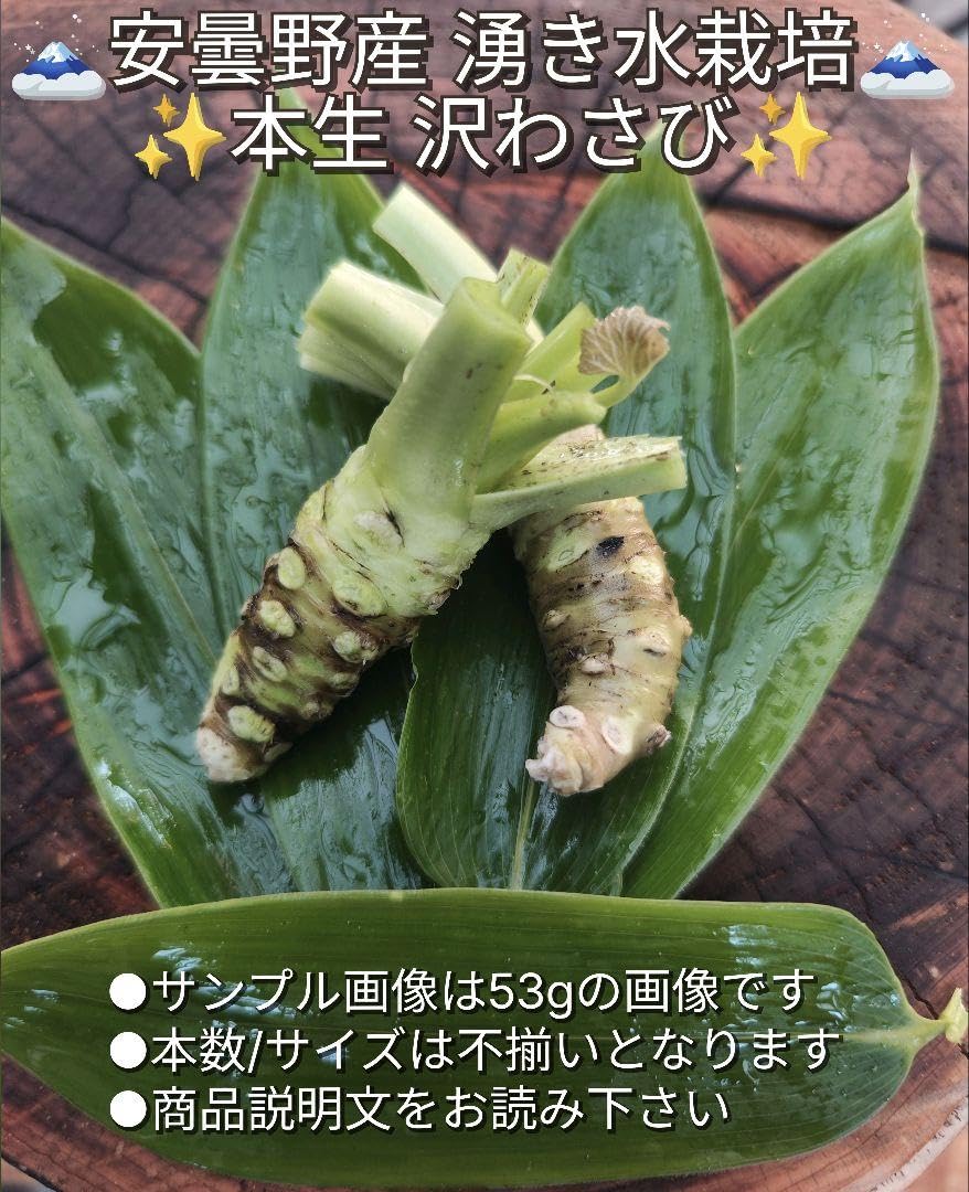 食品 無農薬 安曇野産わさび中サイズ 1kg