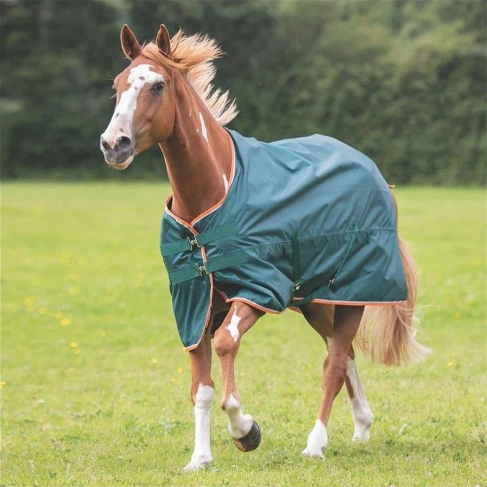 Doppio Tetto In Tessuto A Rete Equestre