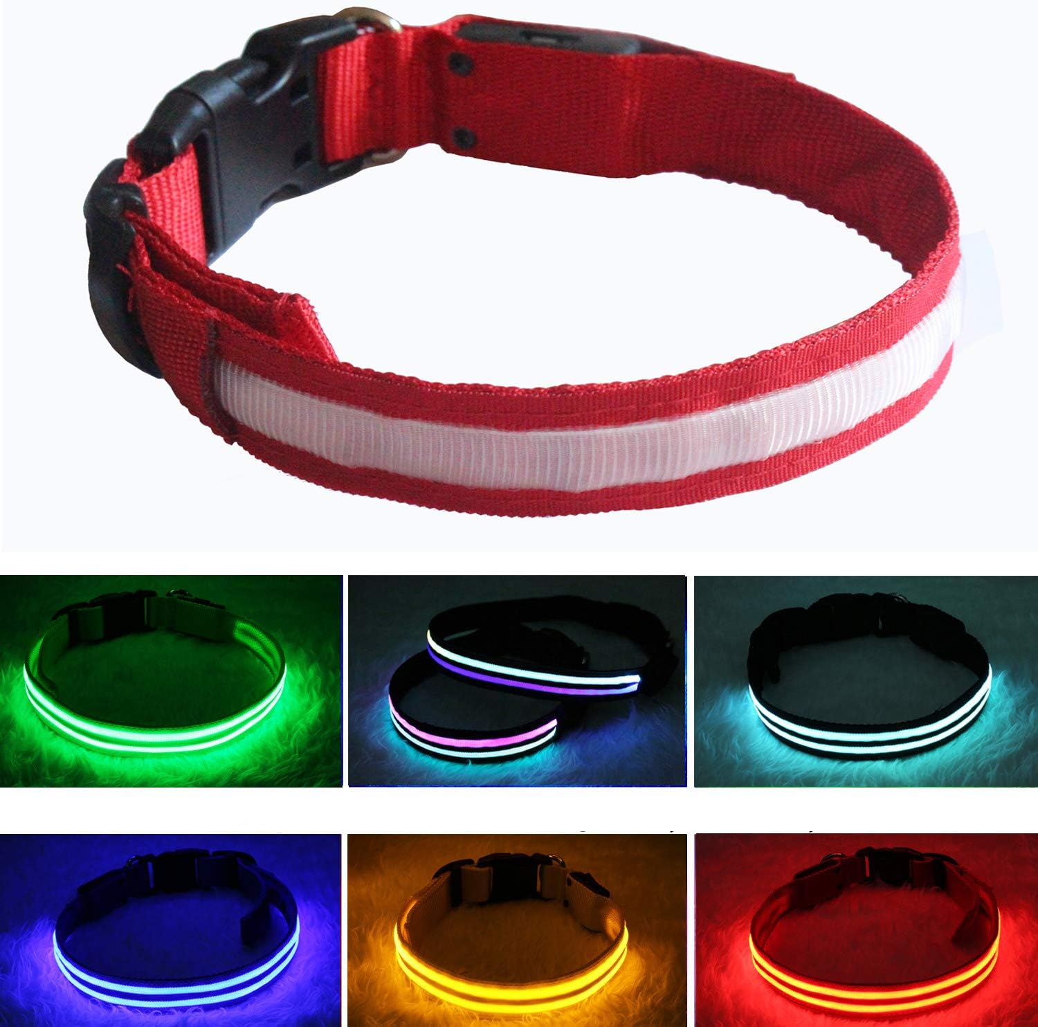 PPWW Light Up Dog Collar - LED Dog Collar - USB Rechargeable, Waterproof - Safe Design - Glow Collars for Dogs, New red M