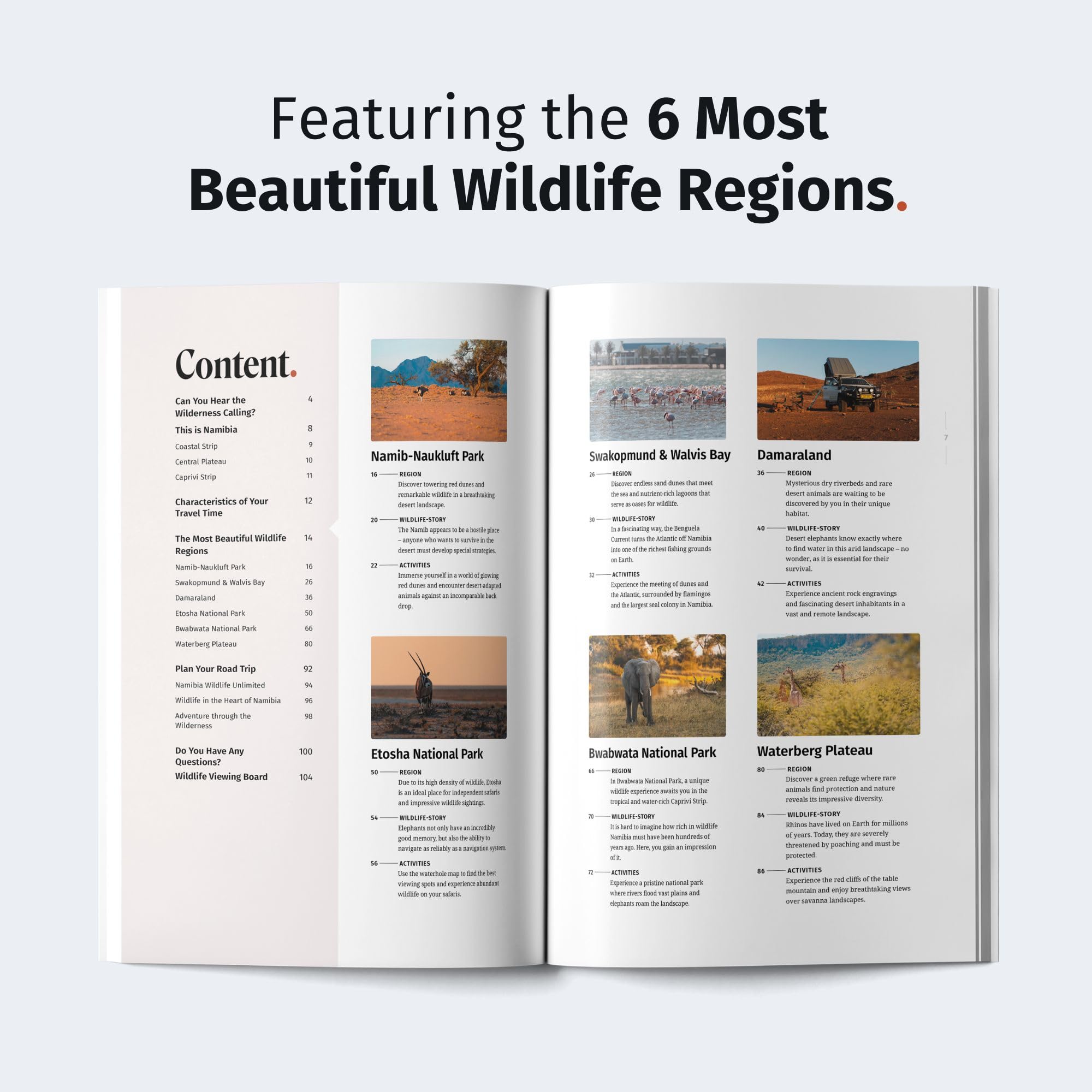 WILDFUL STORIES Namibia Travel Guide with Etosha National Park: Detailed Park Maps for Self-Drivers with Specific Spots and Drives for Unforgettable Wildlife Encounters