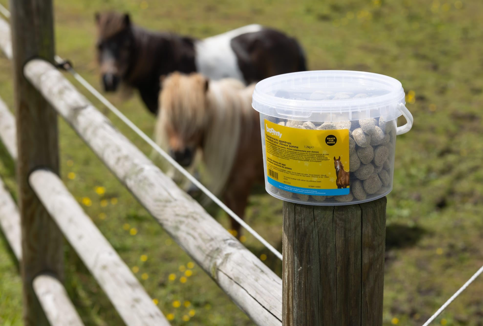 Boomy - Dulces de caballo - Dulces de recompensa sin azúcar para caballos - anillo de zanahoria - 1kg (Normal, Manzana)