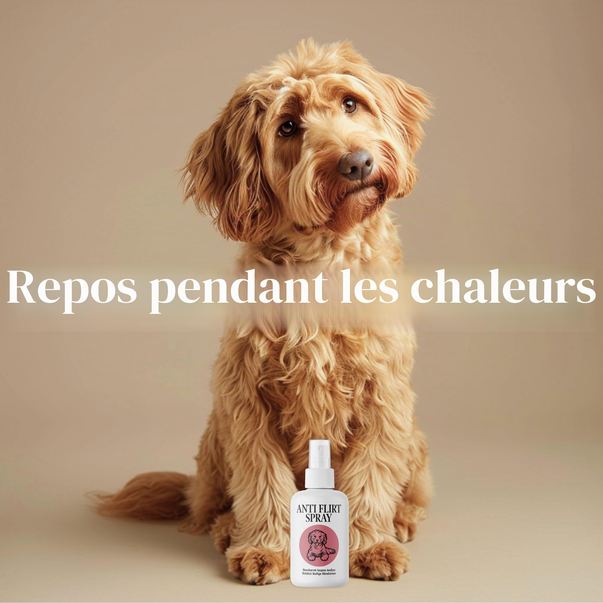 Spray Anti Flirt pour Chiens – Masque l’Odeur des chaleurs chez la Chienne, Aide à réduire l’Attention des mâles, Formule parfumée Naturelle 100 ML