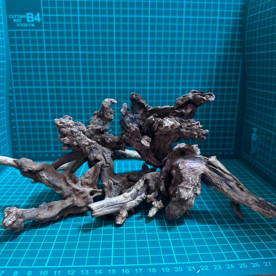 小流木 水槽用流木 4点セット アクアリウム B