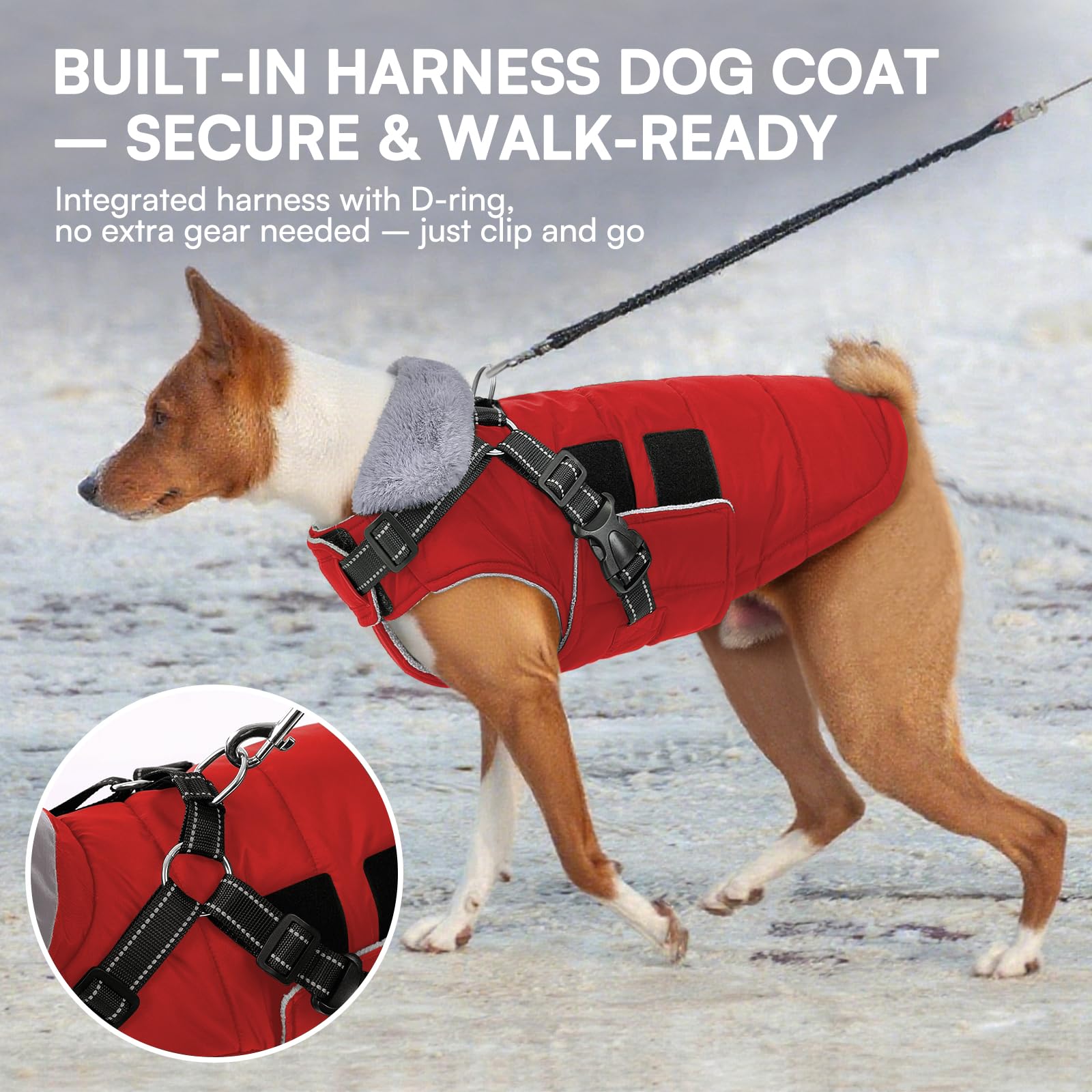 Queenmore Wintermantel Hund Warmer Wasserdichter Hundemantel Dackel Mantel