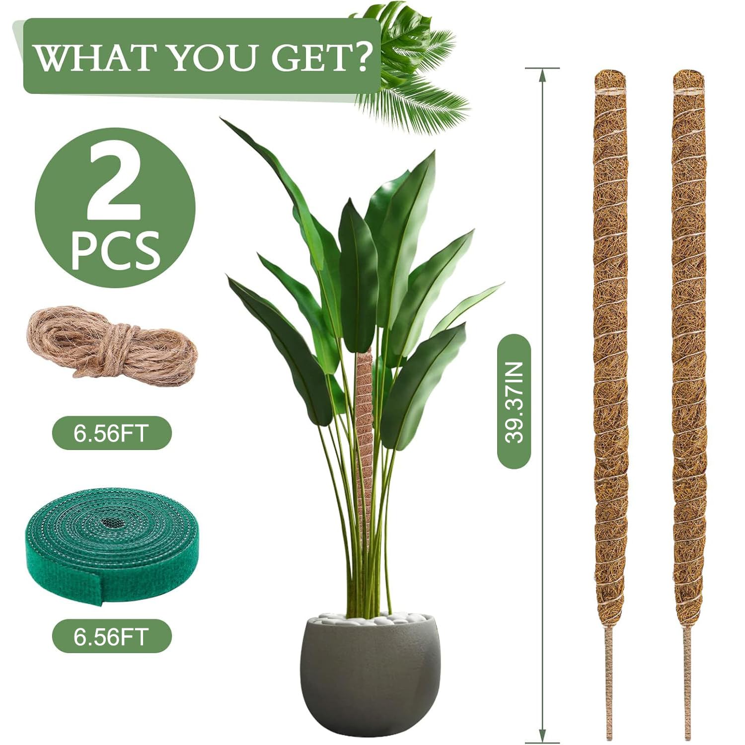 Ianulus 2 Pack Moss Poles, Bendable Coir Plant Support Stakes, Green, 100cm, original wooden colour - Image 2
