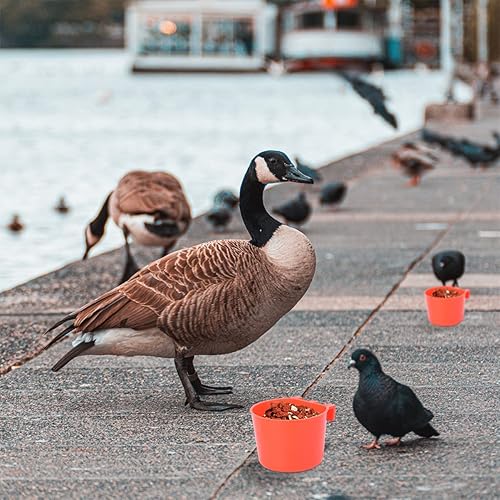 Miniatura 2 de Vasos de alimentación para pájaros, 12 unidades, platos, pájaros, animales, jaula de alimentación, colgante, cacatúa, agua, animales, colibrí,