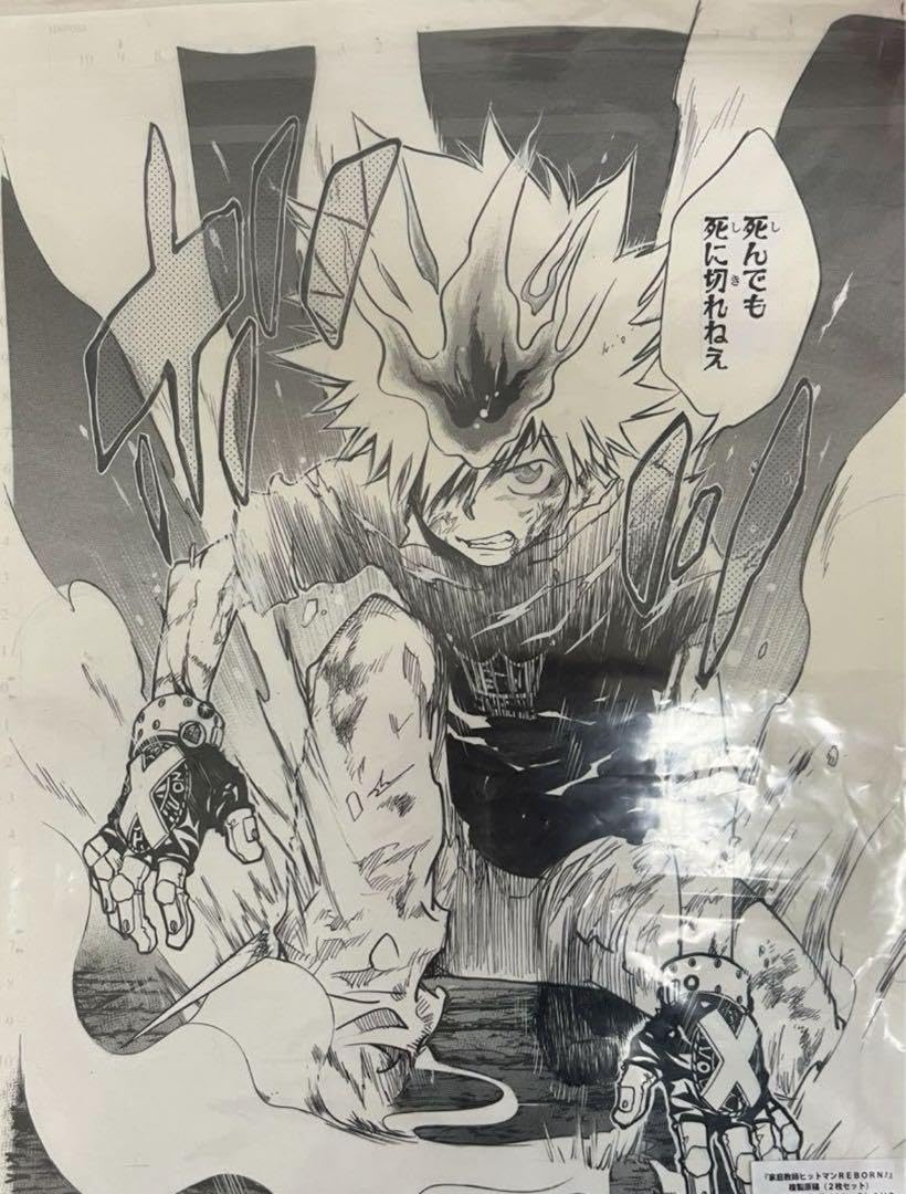 Amazon.co.jp: 家庭教師ヒットマンreborn 沢田綱吉 リボーン