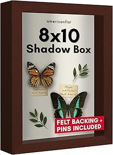 Americanflat 8x10 Shadow Box Frame with Shatter-Resistant Glass - Silhouette Collection - Large Shadow Box Display Case for Tabletop and Wall Display - Mahogany with Soft Felt Back