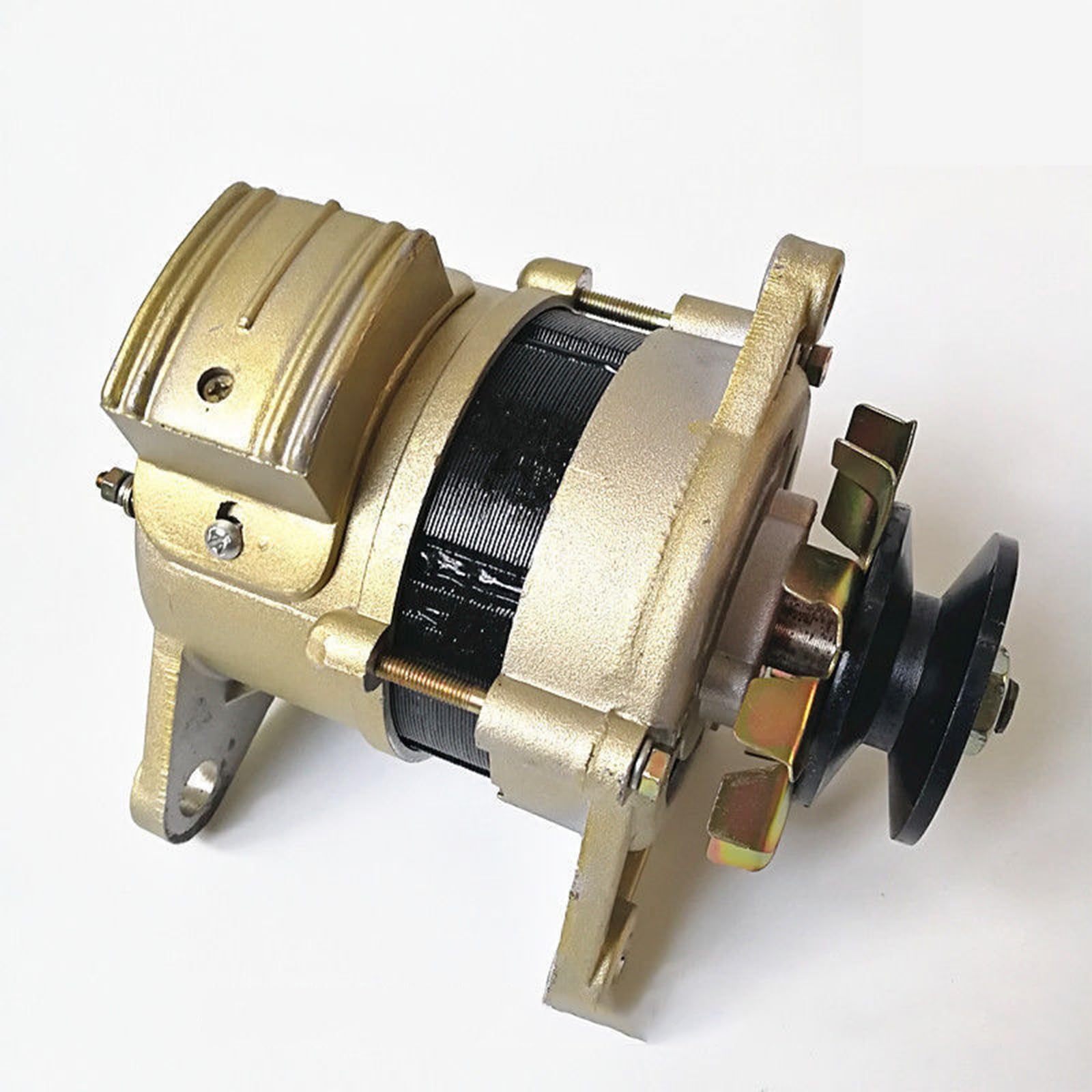 800W 220V Brushless Permanent Magnet Small Generator with Pure Copper Coil High Output for Lighting Household Generator
