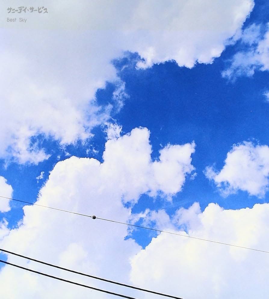 SunnyDayService　サニーデイ　BEST SKY レコード Amazon.co.jp: Best Sky: ミュージック
