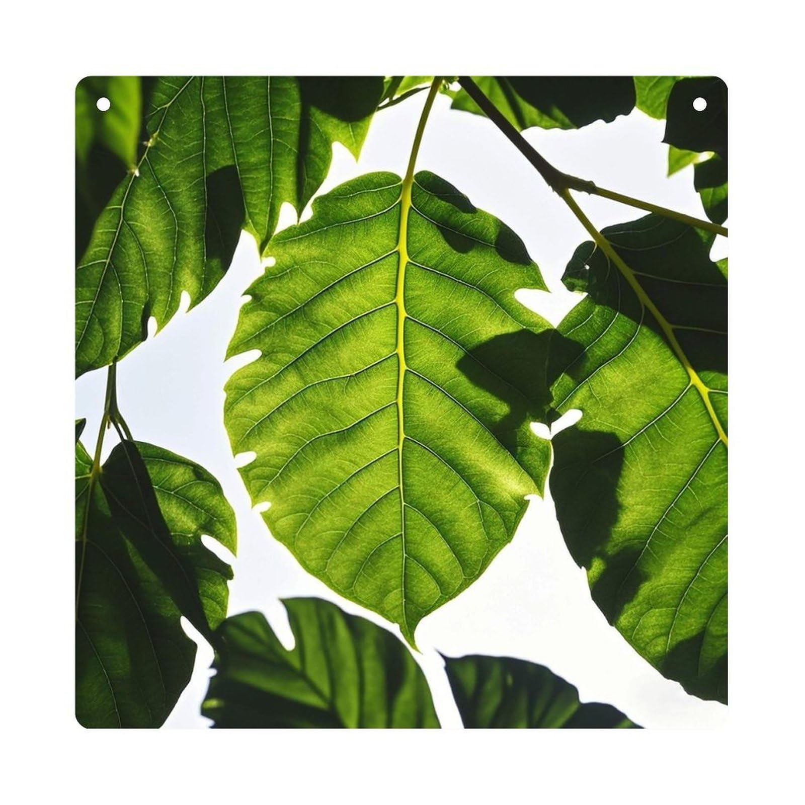 Green Leaves Pattern Hanging Ornament Wall Decor Pendant