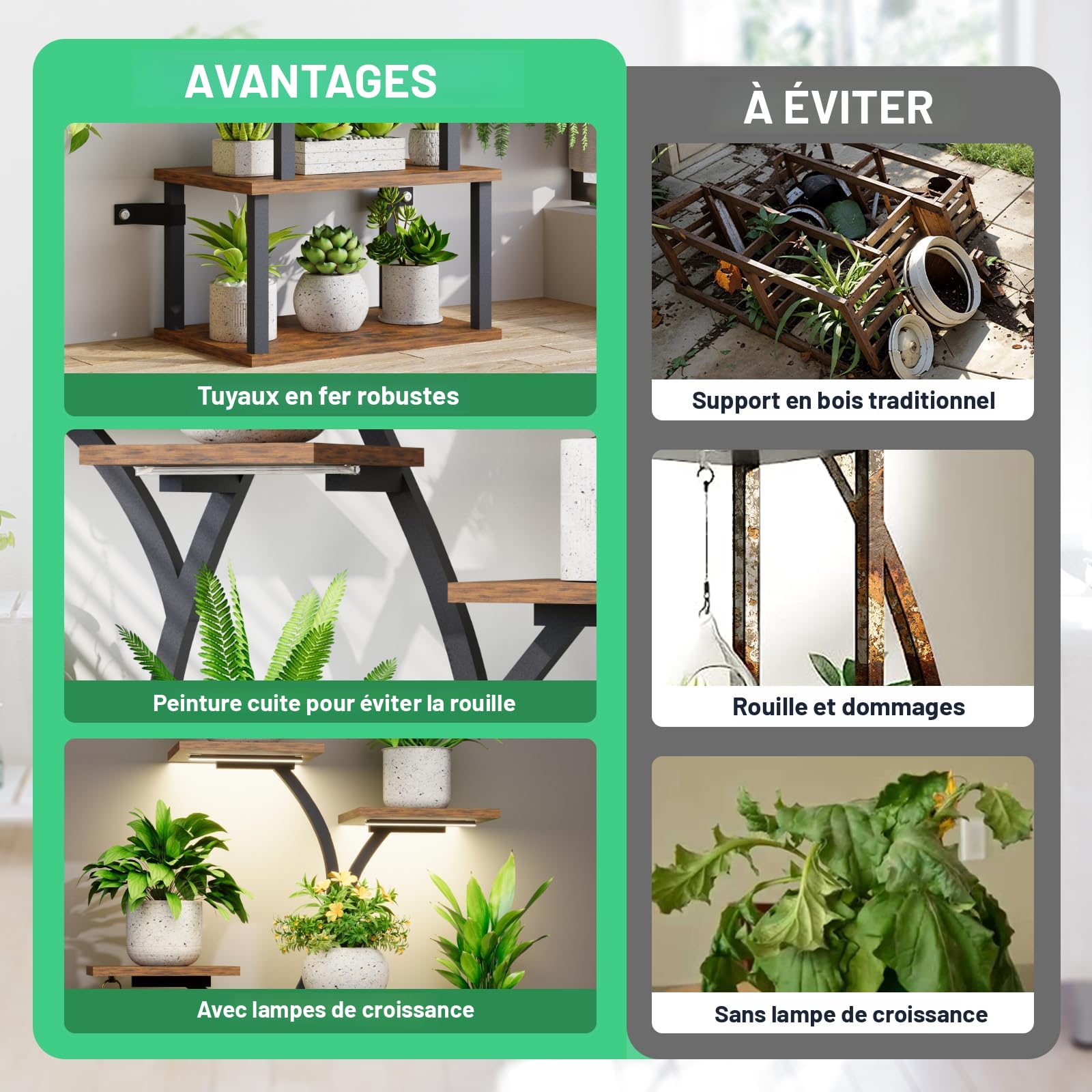 BACEKOLL Support Pour Plantes Avec Lumière De Croissance - 8 Niveaux