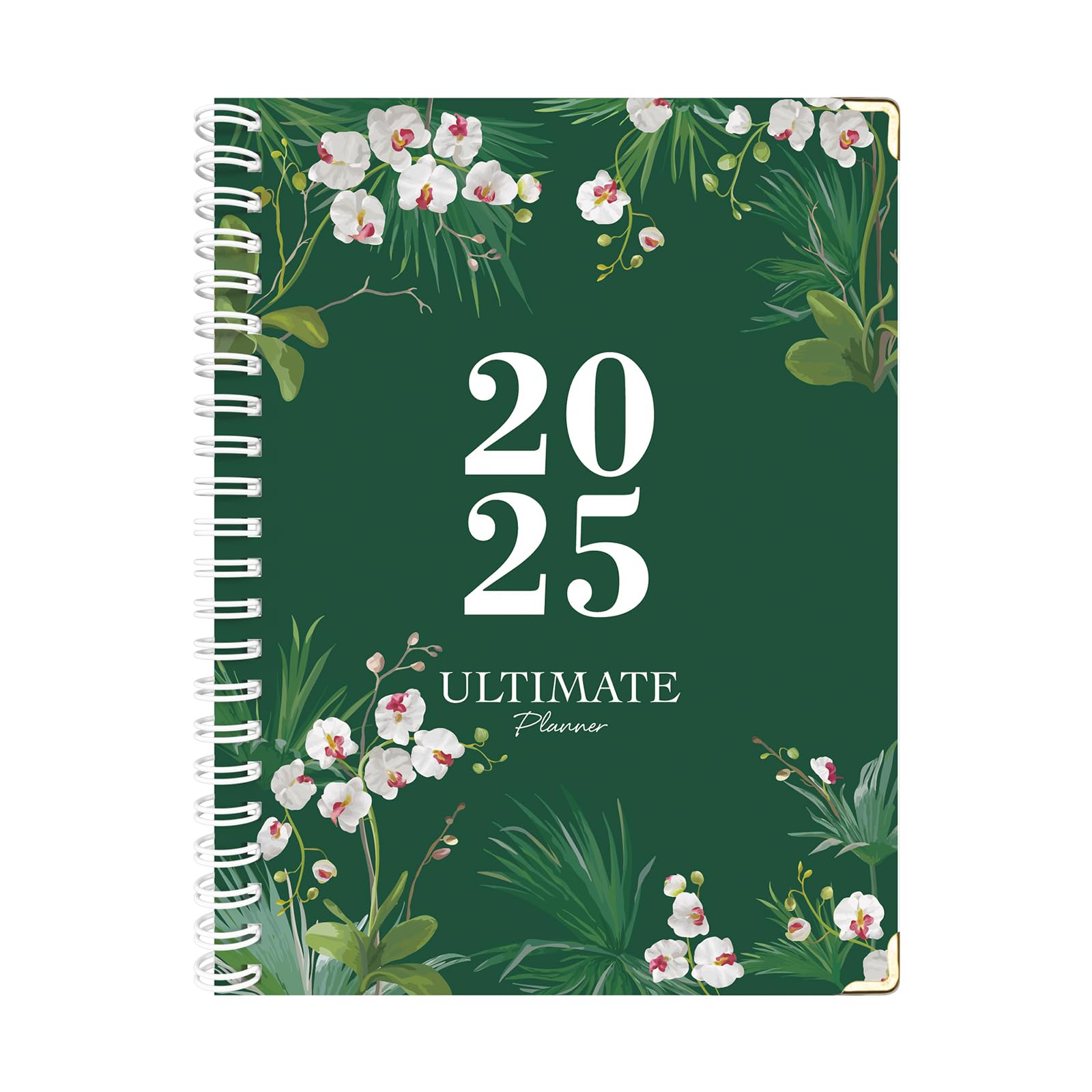 Amazon.com : 2025 Planner - A4 Weekly and Monthly Planner to Achieve ...