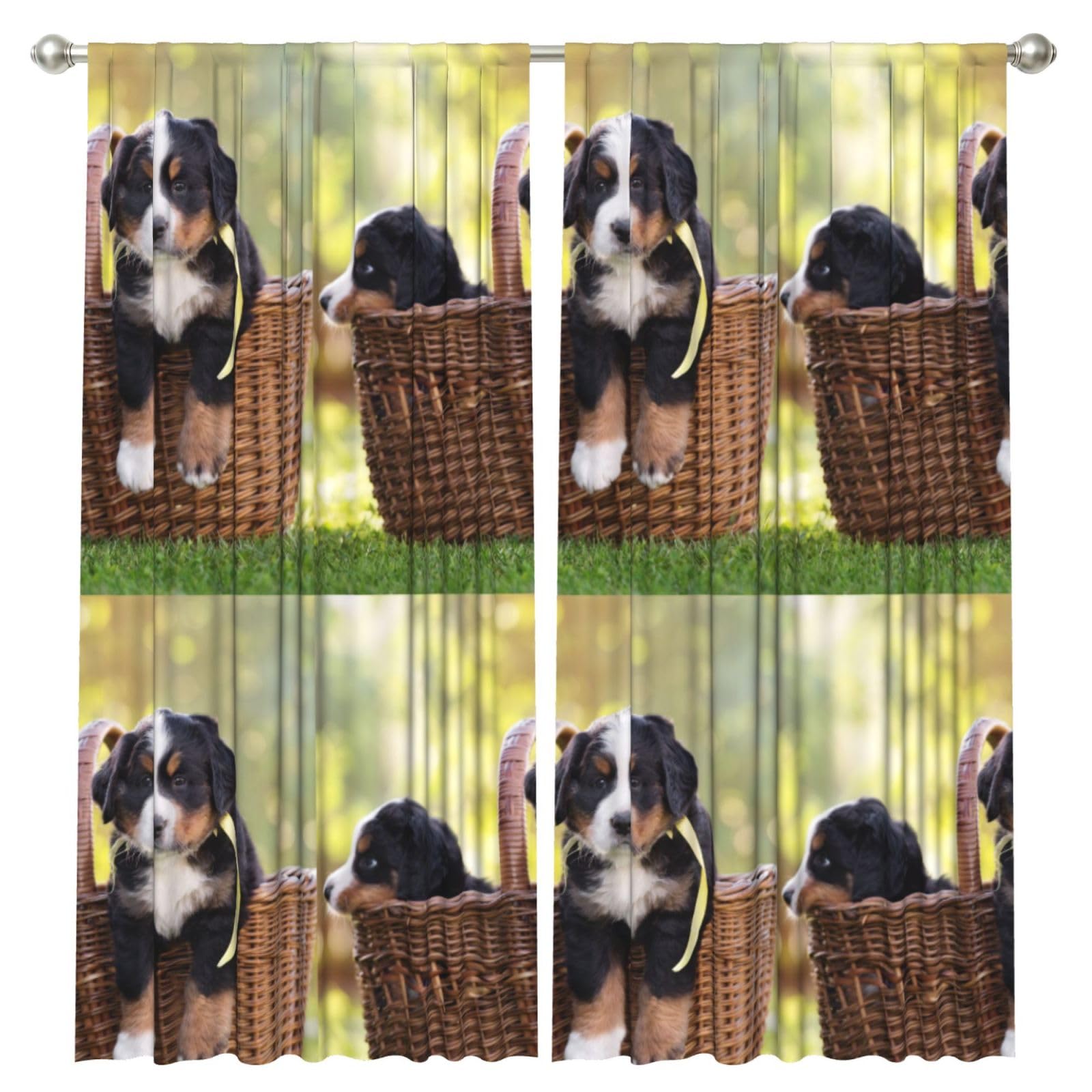 InOmak Bernese Mountain Dog Puppies, 2 Panels Window Curtains 52 x 84 Inch Blackout Curtains for Living Room Bedroom