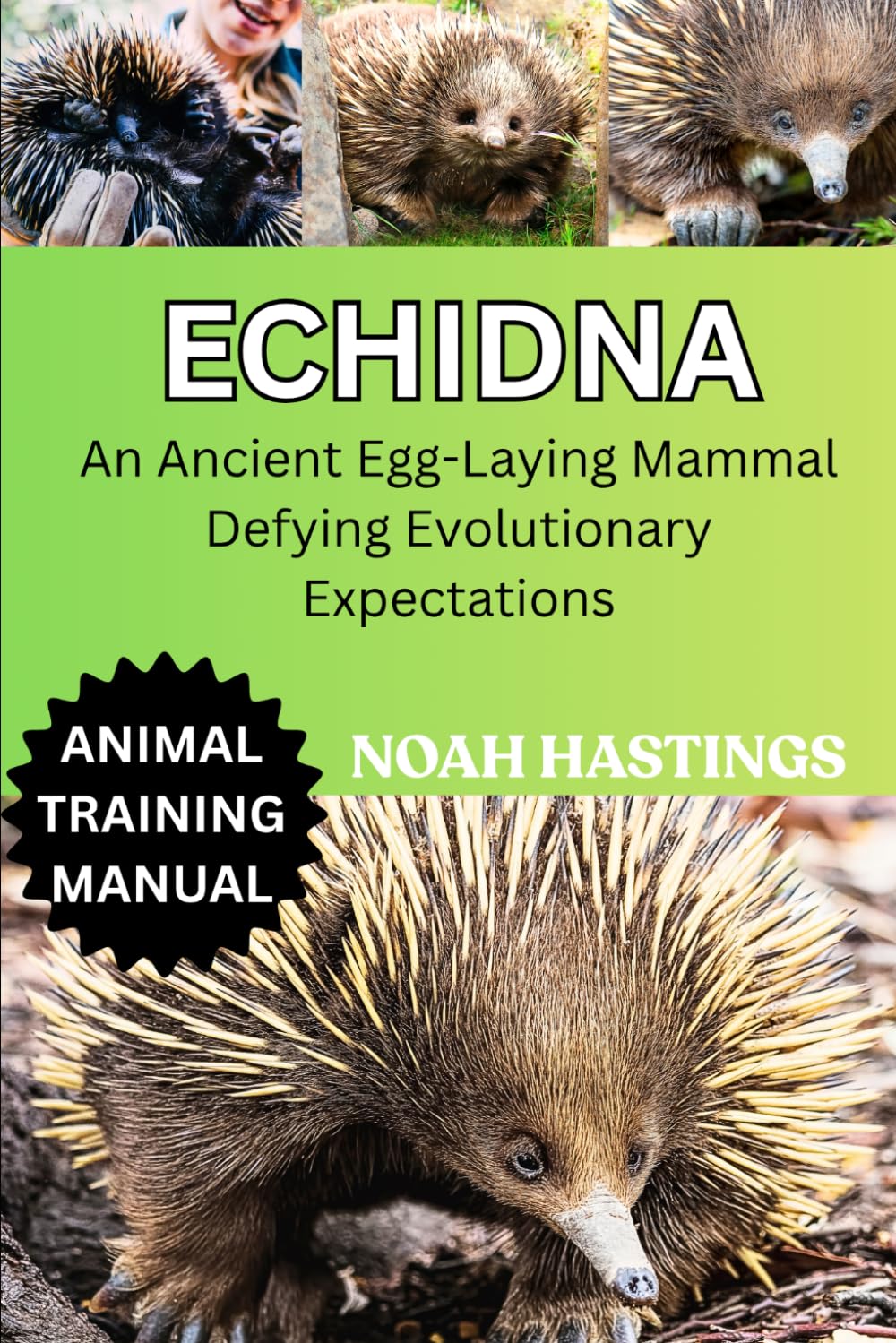 ECHIDNA: An Ancient Egg-Laying Mammal Defying Evolutionary Expectations