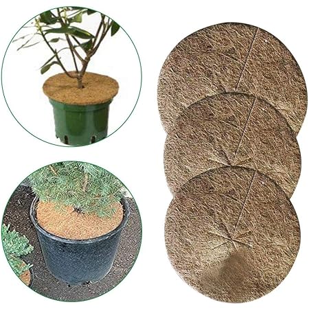 20cm Kokos Mulchscheibe Abdeckung Kokosmatten 10 Stucke Winter Frostschutz Kokosmatte Fur Pflanzen Kubelabdeckung Winterschutz Fur Garten Topfpflanzen Pflanze Eimer Winterschutz Mehrere Grossen Garten Zaegel Held Gewachshauser Ausrustung Zur Anzucht