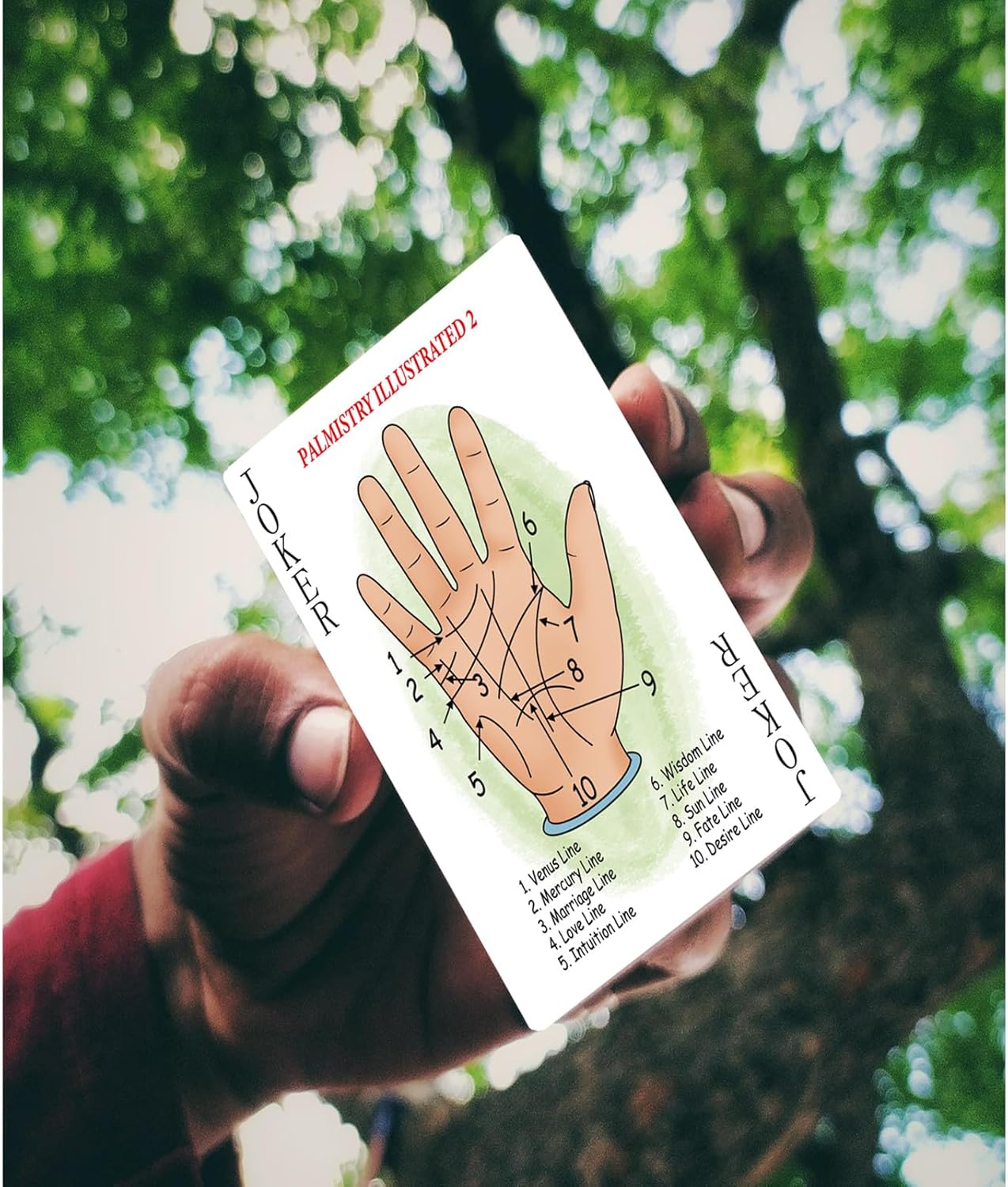 SANTSUN Palmistry Fortune Telling Cards, Tarot Cards for Beginners and Fun Playing Card, Mystic Gift Idea Tarot Playing Cards with Meanings on Them, Revealing The Fortune Secrets Hidden in Your Hand